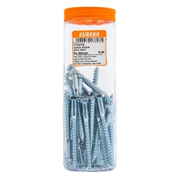 T1C210 - Coach Screw